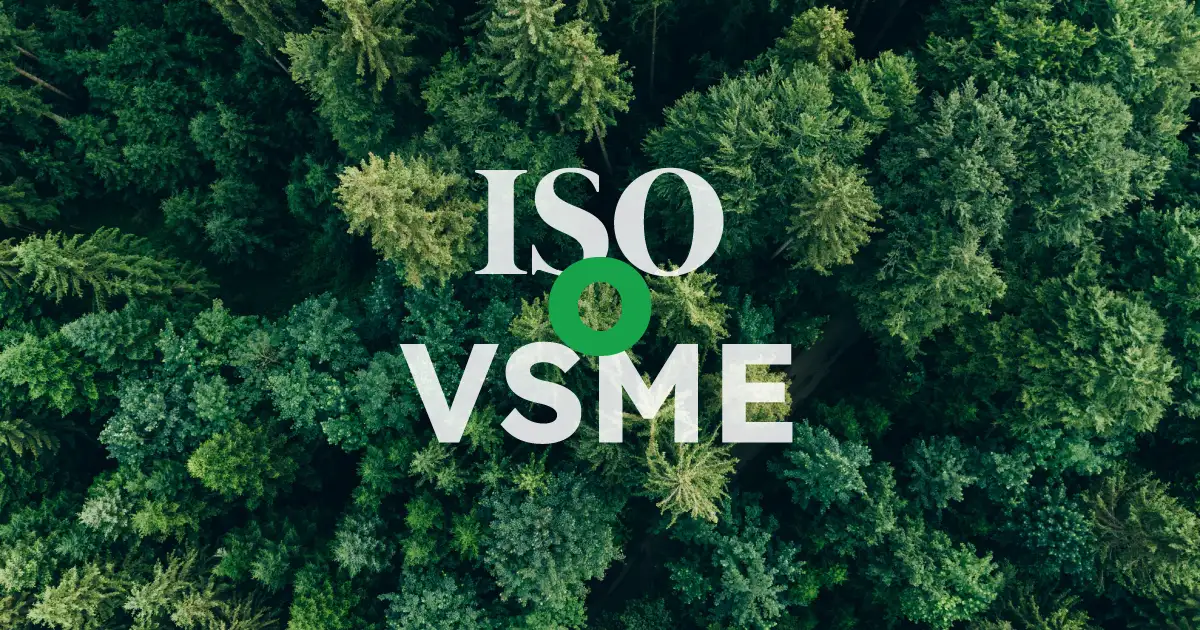 Confronto tra certificazione ISO 14064 e Standard VSME per PMI