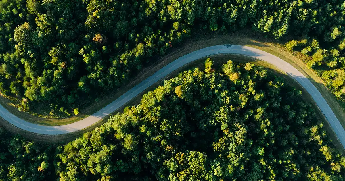 Come compilare il questionario sostenibilità fornitore per PMI italiane